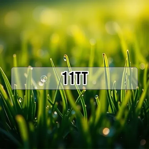 11tt.com: Navegue pelas Melhores Novidades Imperdíveis de Jogos